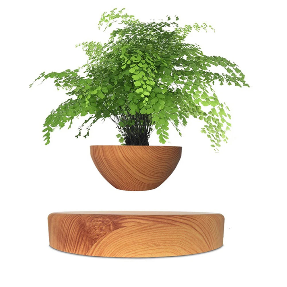 Floating Star Flower Pot